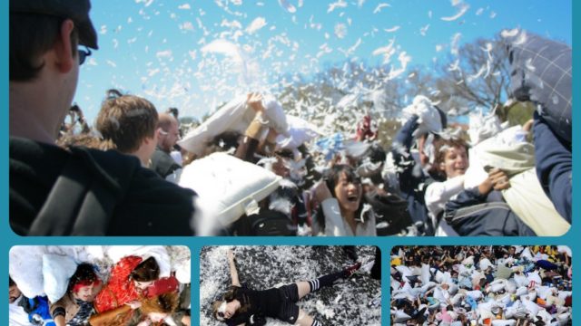 international pillow fight day graphic